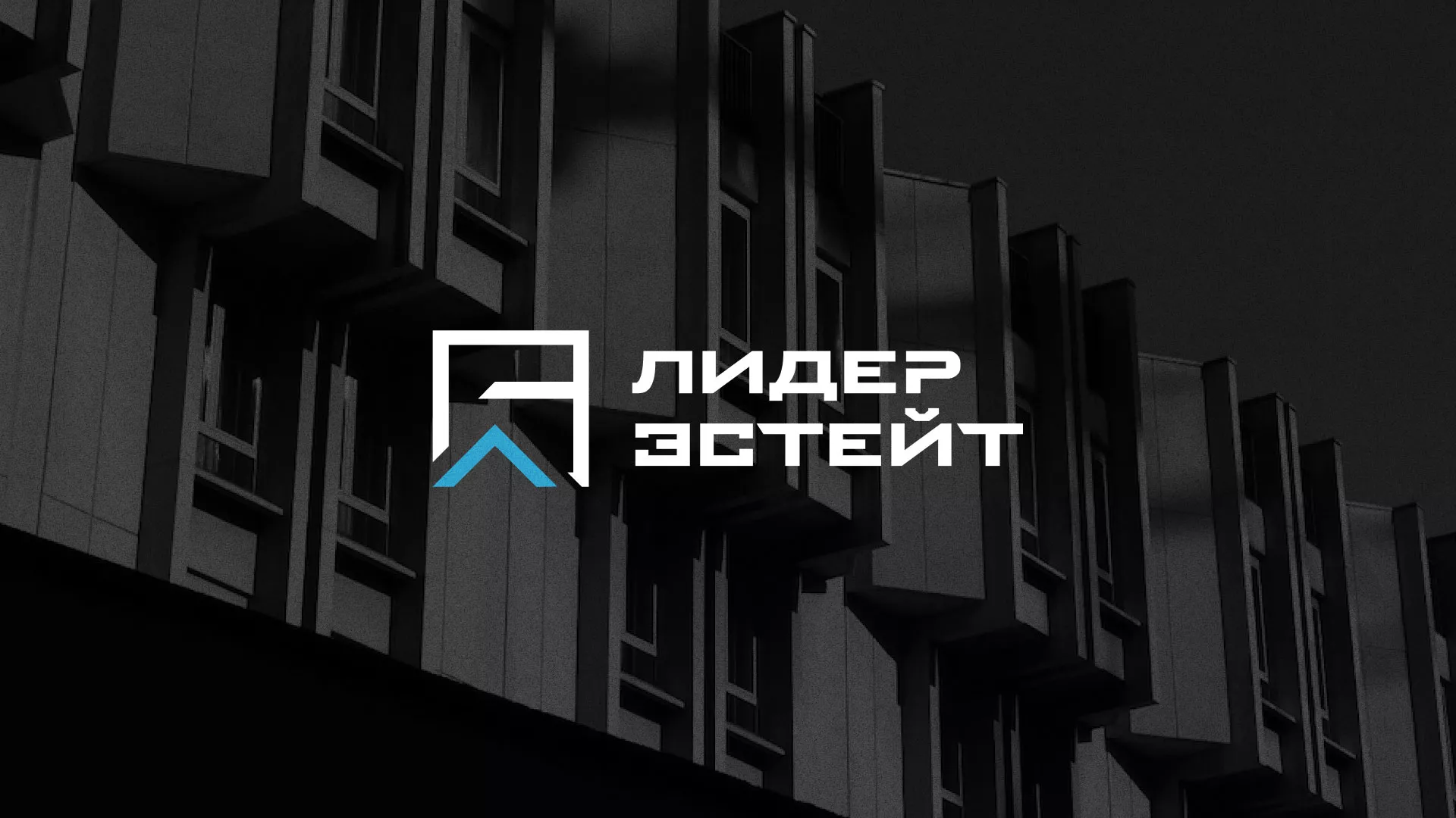 Разработка логотипа агентства недвижимости «Лидер Эстейт» в Нытве